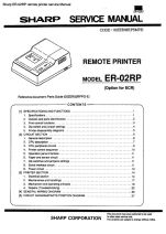 ER-02RP remote printer service.pdf